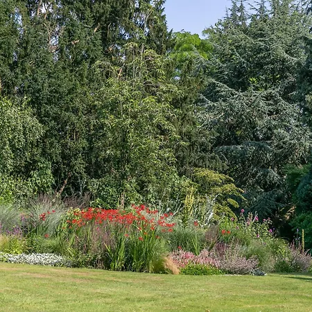 Chauffeurs Дом отдыха *