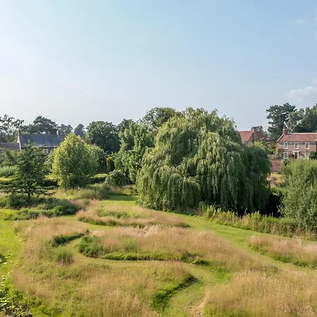 Chauffeurs * יורק